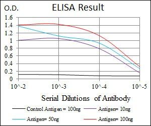 CSNK2A2 Antibody