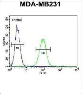 CTSF antibody