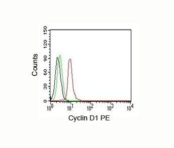 Cyclin D1 Antibody / CCND1