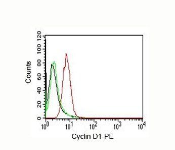 Cyclin D1 antibody (PE)