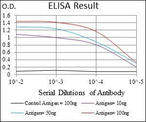 DCN Antibody