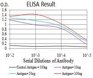 DDX1 Antibody