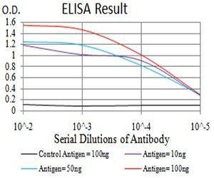 DDX1 Antibody