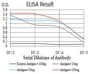 DHX58 Antibody