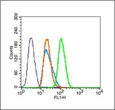 Di Methyl-Histone H3 (K36) antibody