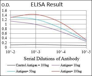 DIS3L2 Antibody