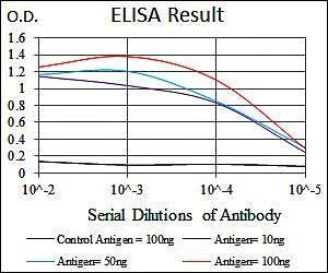 DLL4 Antibody