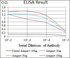 DNAL4 Antibody