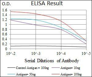 DNAL4 Antibody