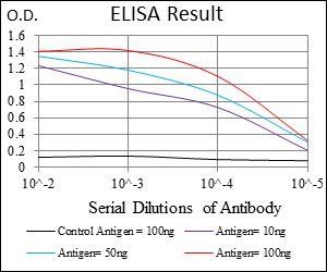 DNM1L Antibody