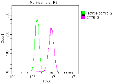 DNM2 Recombinant Monoclonal Antibody