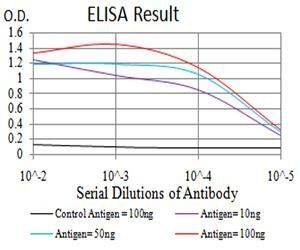 DNMT3A Antibody