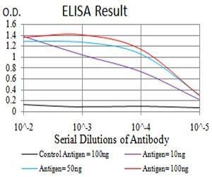 DNMT3L Antibody