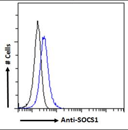 SOCS1 antibody