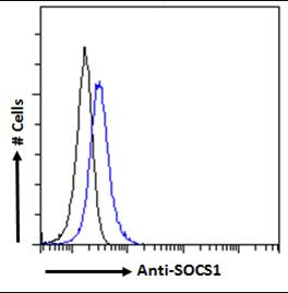 Goat anti-SOCS1 Antibody