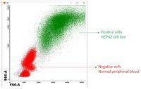 SCD antibody