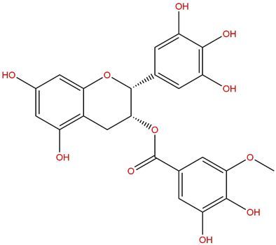 (-)-EGCG-3''-O-Me