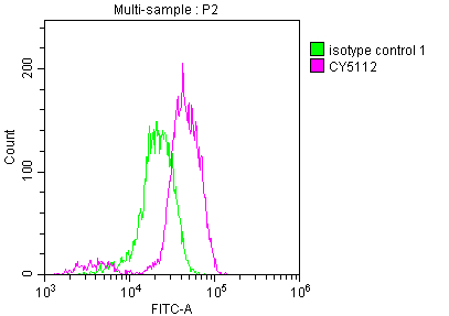 EGFR Recombinant Monoclonal Antibody