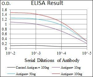 EGFR mutant (L858R)