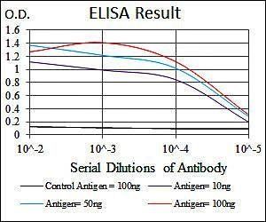 EIF4B Antibody