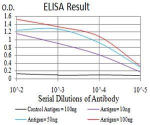 EIF5 Antibody