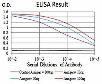 EIF5A Antibody