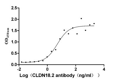 CLDN18 Recombinant Monoclonal Antibody