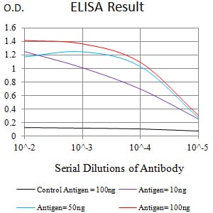 CD307B Antibody