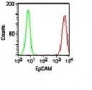 EpCAM antibody