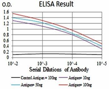 ERBB4 Antibody