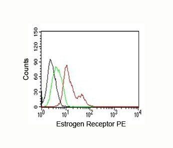 Estrogen Receptor alpha antibody (PE)