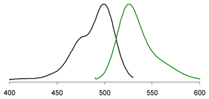 EvaGreen Fluorescent DNA Stain protein