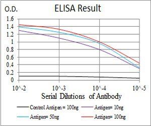 EZR Antibody