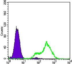 FABP2 Antibody