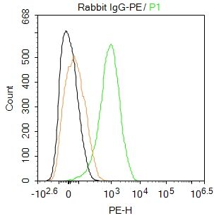Rabbit IgG isotype control (PE) [Out of stock] [Out of stock]