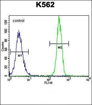 FBRSL1 antibody