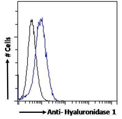 HYAL1 antibody