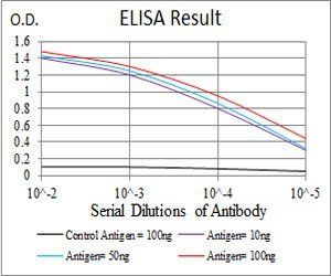 FGFR3 Antibody