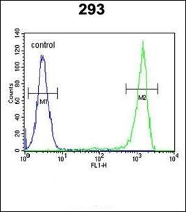 FLJ11506 antibody