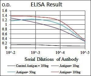 FN1 Antibody
