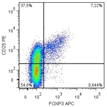 FoxP3 antibody (APC)