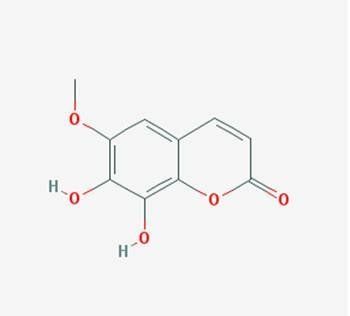 Fraxetin