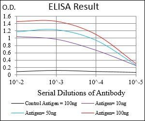 FTL Antibody