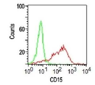 CD15 / FUT4 (Reed-Sternberg Cell Marker) Antibody