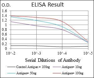 FUT4 Antibody