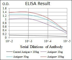 FZD5 Antibody