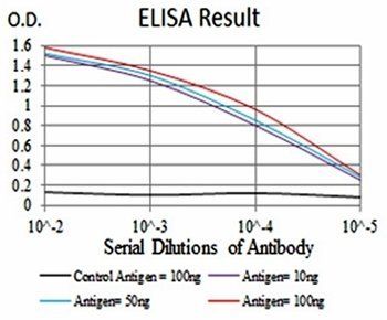 GAB1 Antibody