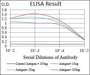 GABBR2 Antibody