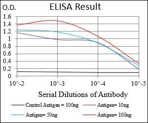 GABBR2 Antibody