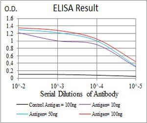 GNAS Antibody